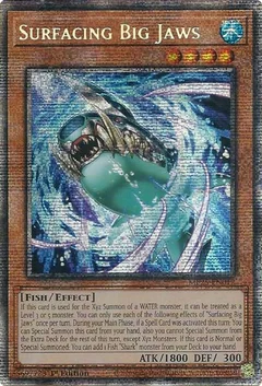 Surfacing Big Jaws MP25-EN012