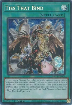 Ties That Bind MP25-EN071