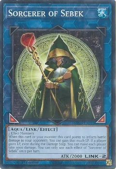 Sorcerer of Sebek MP25-EN315