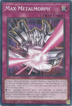 Max Metalmorph MP25-EN424