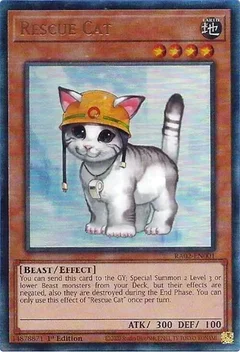 Rescue Cat (PUR) RA02-EN001