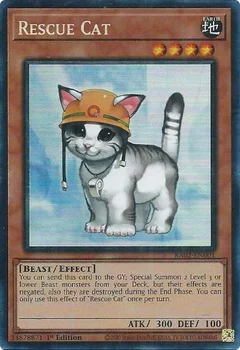 Rescue Cat (PCR) RA02-EN001