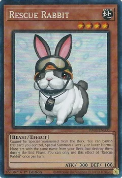 Rescue Rabbit (PCR) RA02-EN008