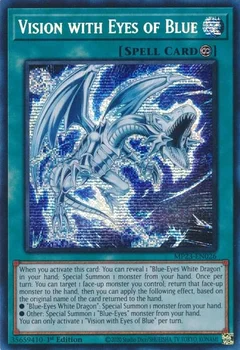 Vision with Eyes of Blue MP23-EN026