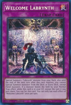Welcome Labrynth MP23-EN235