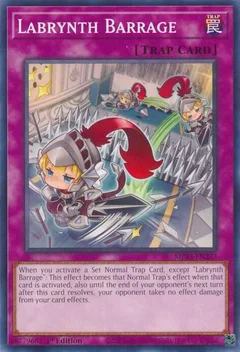 Labrynth Barrage MP23-EN237