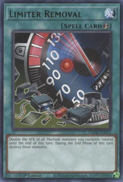 Limiter Removal AMDE-EN053