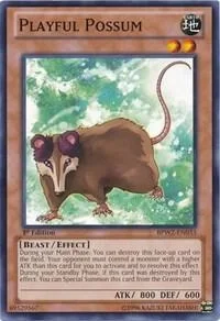 Playful Possum BPW2-EN033