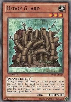 Hedge Guard (Starfoil) Unlimited BP01-EN157