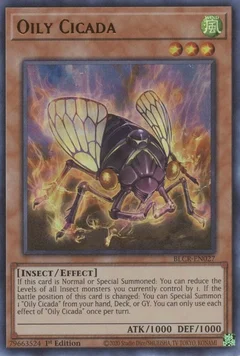 Oily Cicada BLCR-EN027
