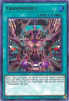 Transmodify BLLR-EN077