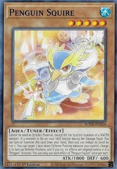 Penguin Squire BODE-EN024