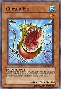 Cursed Fig Unlimited CSOC-EN028
