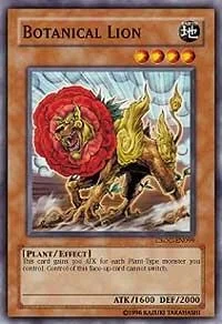 Botanical Lion 1st Edition CSOC-EN099