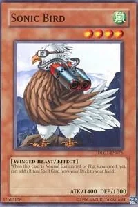 Sonic Bird DLG1-EN076