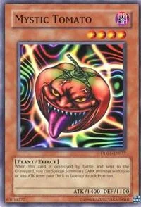 Mystic Tomato DLG1-EN077