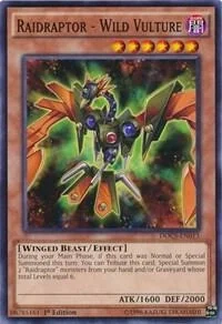 Raidraptor - Wild Vulture Unlimited DOCS-EN013