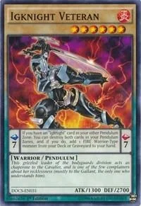 Igknight Veteran Unlimited DOCS-EN031