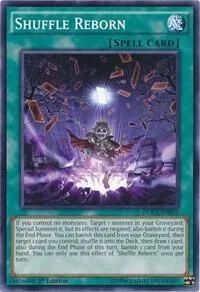 Shuffle Reborn 1st Edition DOCS-EN053