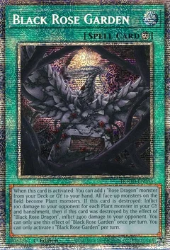 Black Rose Garden (Starlight Rare) DOOD-EN055