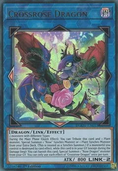 Crossrose Dragon DUOV-EN015