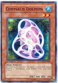 Chrysalis Dolphin Unlimited DP03-EN008