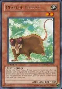 Playful Possum 1st Edition DREV-EN007