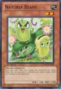 Naturia Beans 1st Edition DREV-EN028