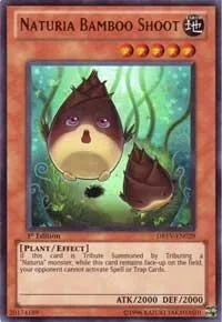 Naturia Bamboo Shoot 1st Edition DREV-EN029