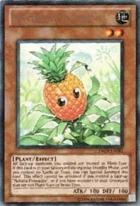 Naturia Pineapple 1st Edition DREV-EN082