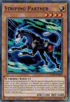 Striping Partner 1st Edition EXFO-EN003