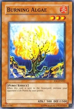 Burning Algae IOC-EN062