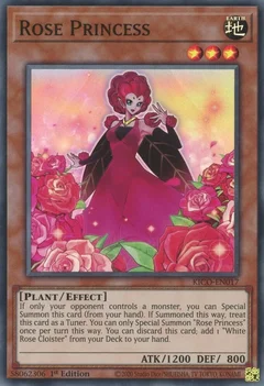 Rose Princess KICO-EN017