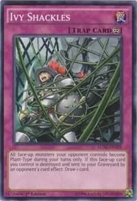 Ivy Shackles LC5D-EN105