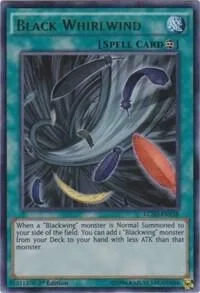 Black Whirlwind LC5D-EN138
