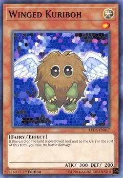 Winged Kuriboh 1st Edition LED6-EN017