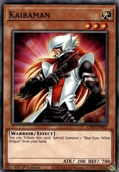 Kaibaman LDS2-EN002