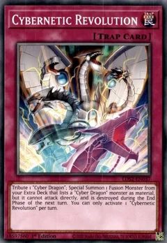 Cybernetic Revolution LDS2-EN037