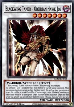 Blackwing Tamer - Obsidian Hawk Joe LDS2-EN042
