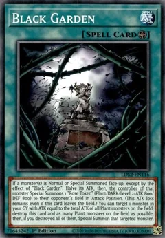 Black Garden LDS2-EN116