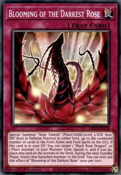 Blooming of the Darkest Rose LDS2-EN120