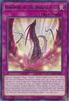 Blooming of the Darkest Rose LED4-EN027