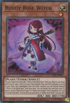 Ruddy Rose Witch LIOV-EN010