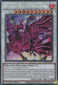 Ruddy Rose Dragon LIOV-EN035