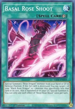 Basal Rose Shoot LIOV-EN059