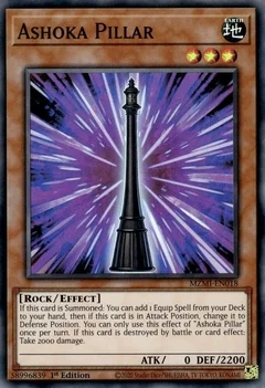 Ashoka Pillar MZMI-EN018