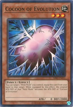 Cocoon of Evolution MRD-EN011