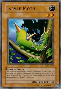 Larvae Moth MRD-EN007