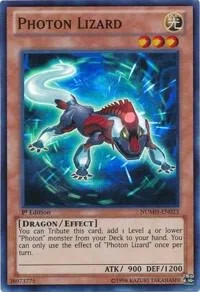 Photon Lizard Unlimited NUMH-EN023