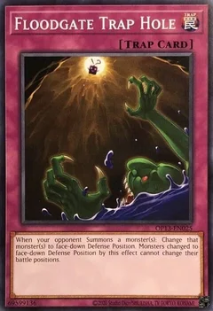 Floodgate Trap Hole OP13-EN025
